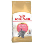 Royal Canin British Shorthair Kitten 38 英國短毛貓幼貓配方 10kg